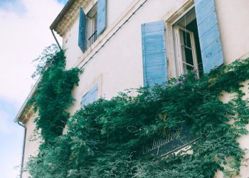 Liquidación Anticipada